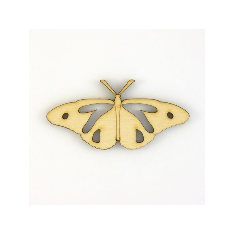 Papillon-N6-decoupe
