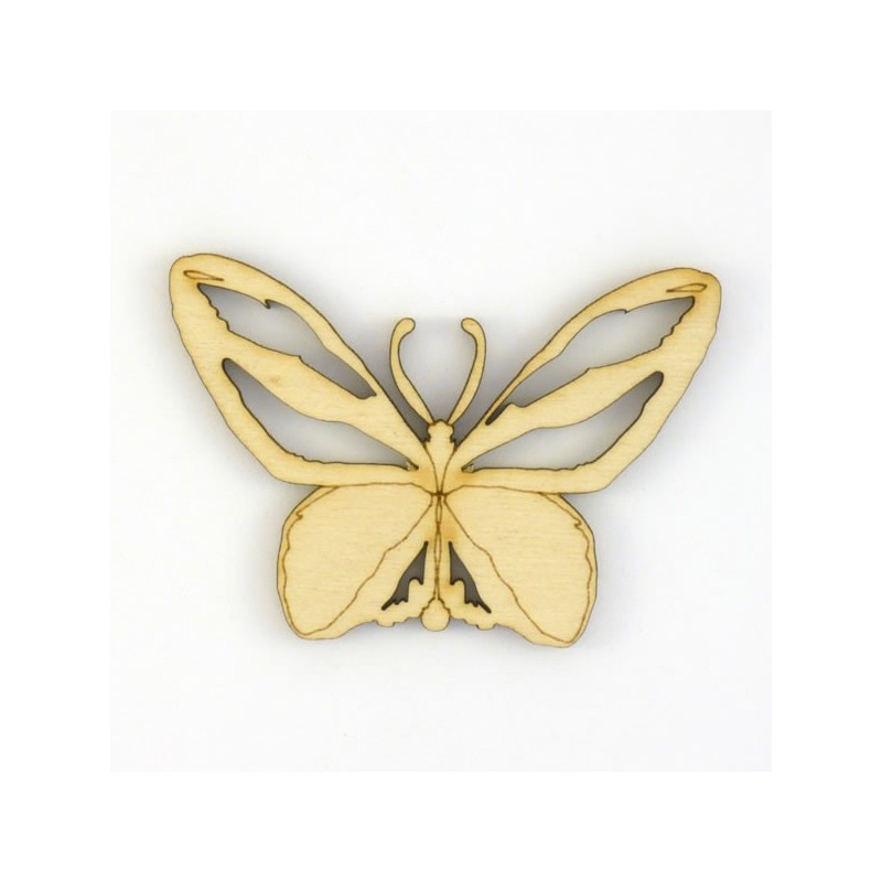 Papillon-N4-decoupe