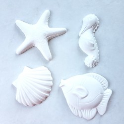 4 sujets en plâtre : poisson, hyppocampe, étoile de mer et coquille Saint Jacques à décorer ou pas Pour ornement