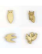 Oiseaux bois