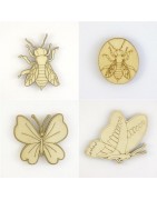 Insectes, papillons
