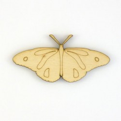 Papillon-N4