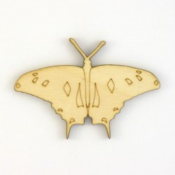 Papillon-N11